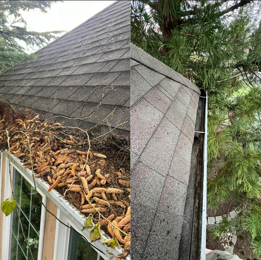 Gutter Cleaning