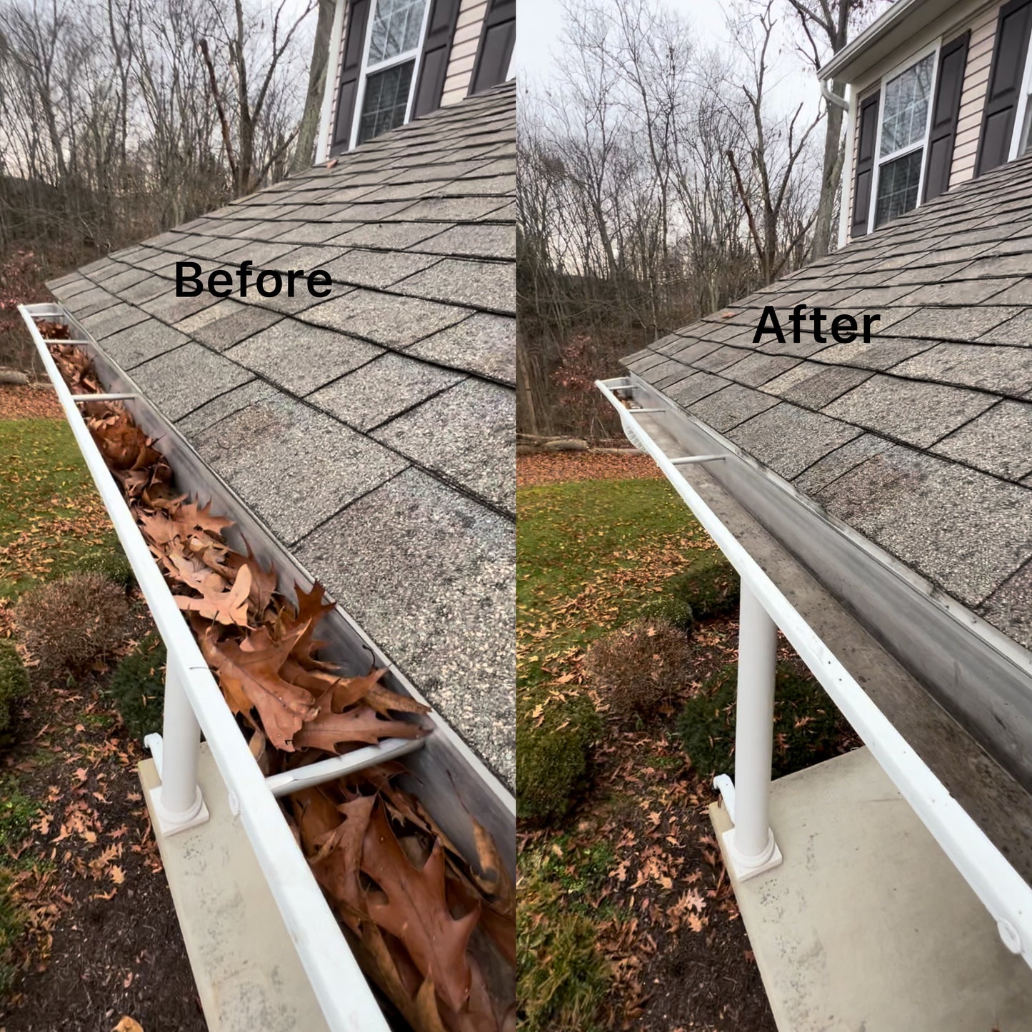 Gutter Cleaning